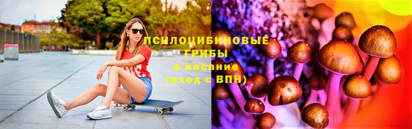 винт Гусиноозёрск