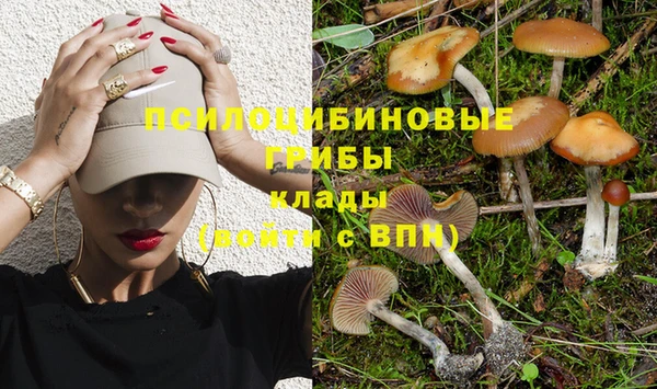 мдпв Гусев