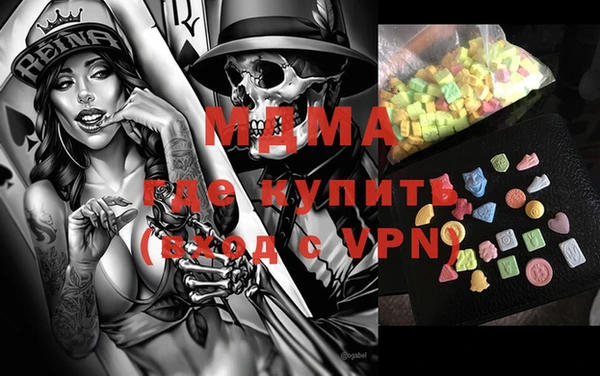 мдпв Гусев