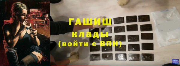 мдпв Гусев