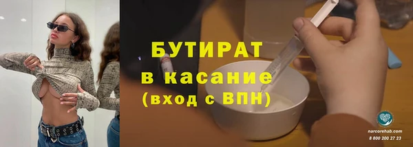 мдпв Гусев