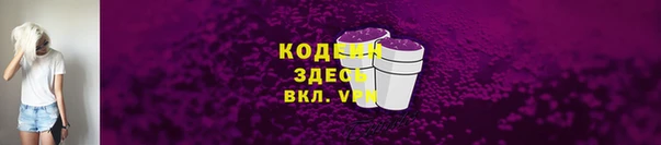 мдпв Гусев