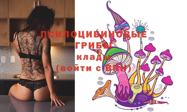 винт Гусиноозёрск