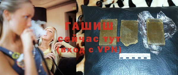 мдпв Гусев