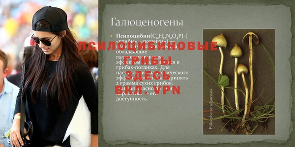винт Гусиноозёрск