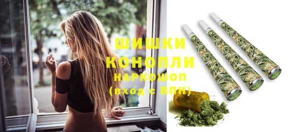 мдпв Гусев