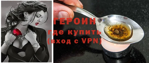 мдпв Гусев