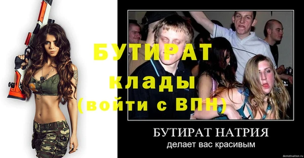 мдпв Гусев