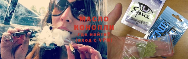 мдпв Гусев