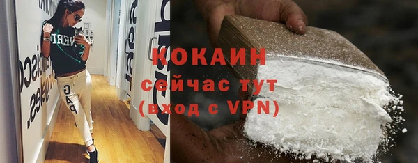 мдпв Гусев
