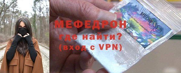 мдпв Гусев