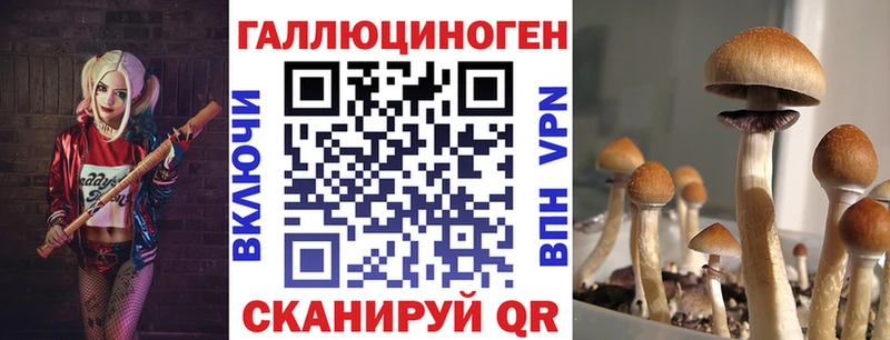 Галлюциногенные грибы прущие грибы  Купить закладки  Новокубанск 